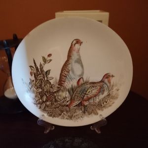 Bradex vintage porcelain bowl with beautiful GAME BIRDS origin made in ENGLAND
